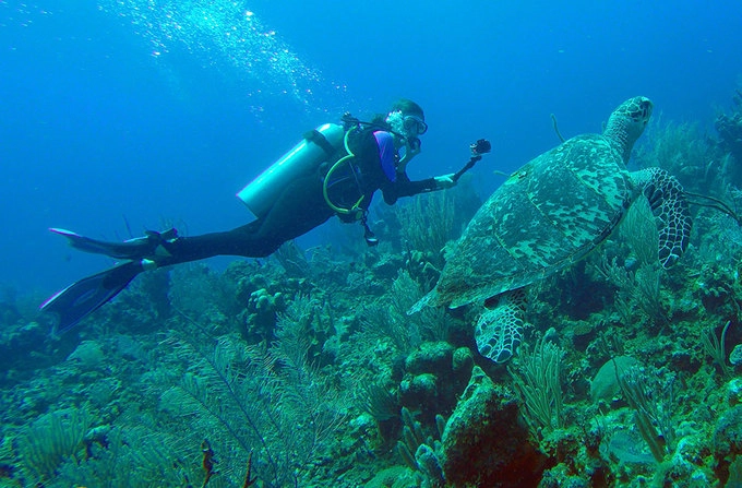 Khu dự trữ sinh thái biển Hol Chan và Shark Ray Alley ngoài khơi biển Belize, thuộc vùng biển Caribe được tạp chí Skin Diver bầu chọn là một trong bảy điểm lặn đẹp nhất thế giới nhờ hệ sinh thái biển đa dạng, mê hoặc những ai đam mê bộ môn thể thao này. Khu dự trữ sinh thái biển Hol Chan và Shark Ray Alley ngoài khơi biển Belize, thuộc vùng biển Caribe được tạp chí Skin Diver bầu chọn là một trong bảy điểm lặn đẹp nhất thế giới nhờ hệ sinh thái biển đa dạng, mê hoặc những ai đam mê bộ môn thể thao này.