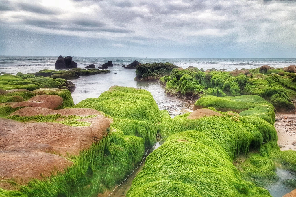 choi-het-diem-dep-an-du-mon-ngon-o-phan-thiet-ivivu-21