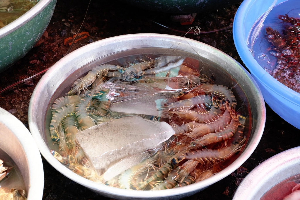 choi-het-diem-dep-an-du-mon-ngon-o-phan-thiet-ivivu-7