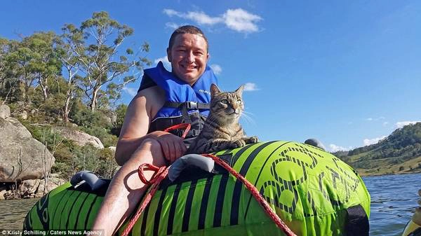 Chú mèo Yoshi thường xuyên được đi du lịch cùng Kristy và Peter Schilling ở New South Wales. Trong ảnh, Peter và Yoshi đang đi chèo thuyền. 