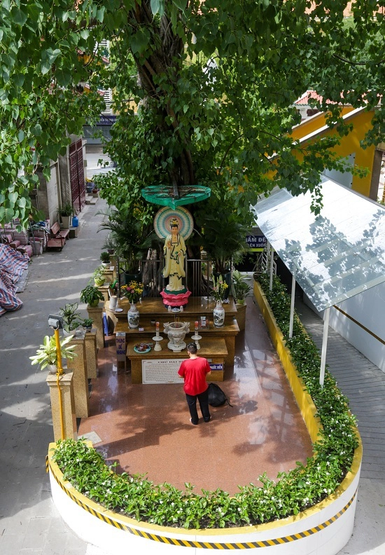 Ngoài sân chùa có một cây Bồ đề mang về từ Colombia. Cạnh cây là tượng Bồ Tát Quan Thế Âm được đúc năm 1958.