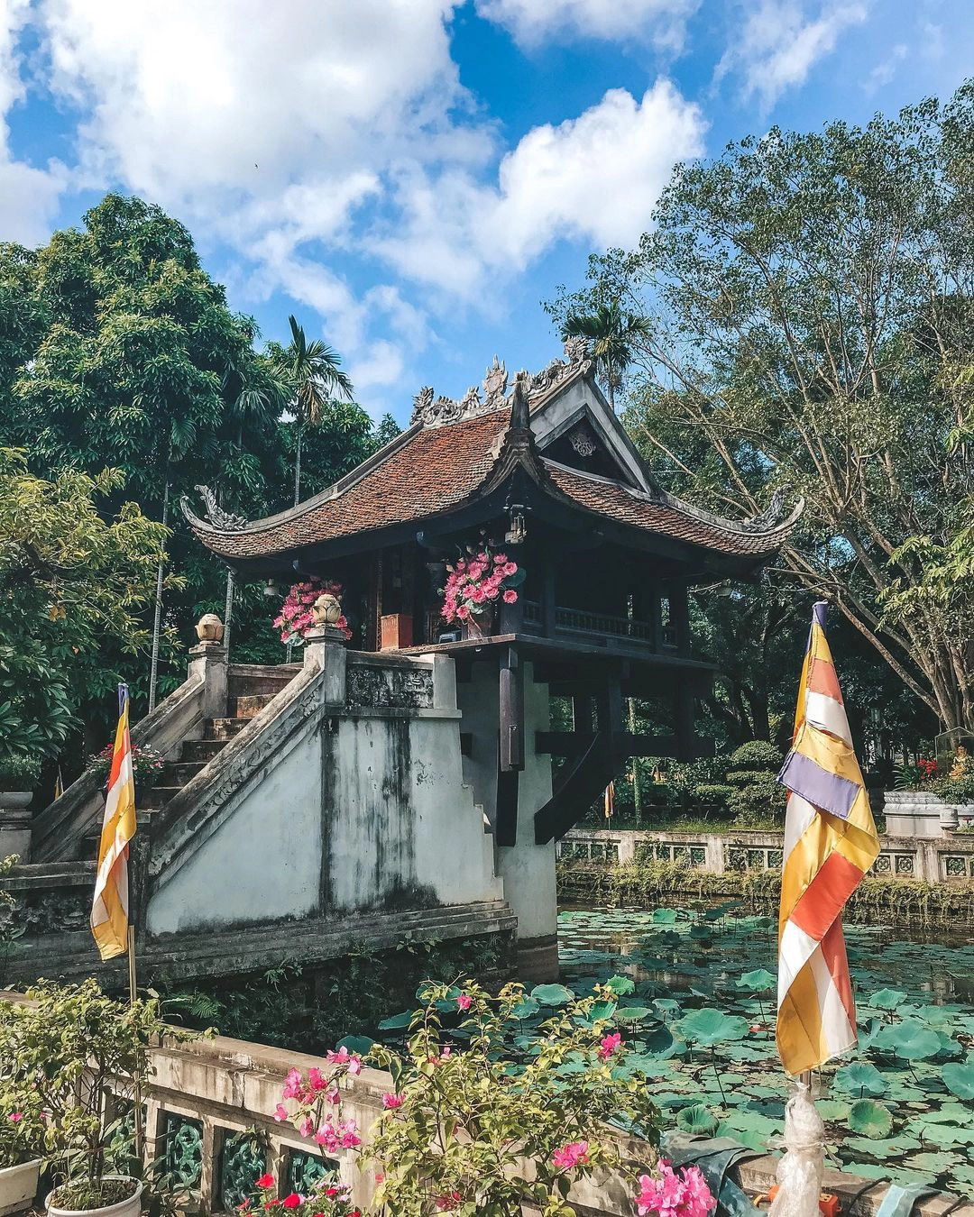 Ảnh: @minhquan.nguyen