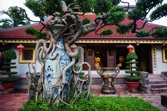 Những cây cảnh bonsai độc đáo khi được tạo hình trong chiếc bình gốm. Những cây cảnh bonsai độc đáo khi được tạo hình trong chiếc bình gốm.
