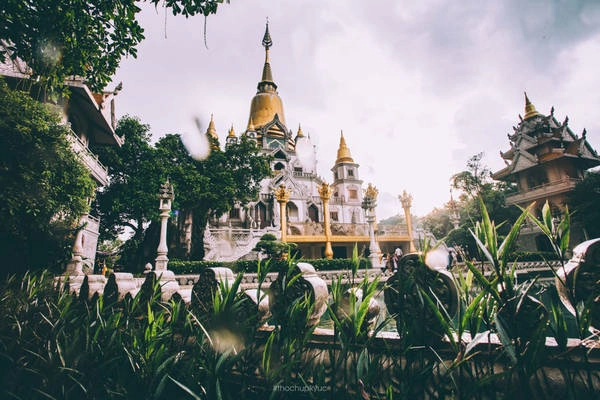 Sau cơn mưa, những ngọn cây trở nên óng ánh, tràn đầy nhựa sống. Sau cơn mưa, những ngọn cây trở nên óng ánh, tràn đầy nhựa sống.