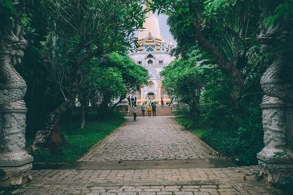 Lối vào tháp được phủ kín bóng cây. Sự thanh tịnh của chùa là điểm nhấn luôn thu hút rất nhiều du khách thập phương tới tham quan và cúng viếng. Lối vào tháp được phủ kín bóng cây. Sự thanh tịnh của chùa là điểm nhấn luôn thu hút rất nhiều du khách thập phương tới tham quan và cúng viếng.