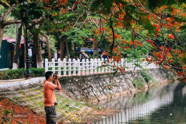 chum-anh-4-thu-hoa-that-dep-cua-thang-6-ha-noi-ivivu-15