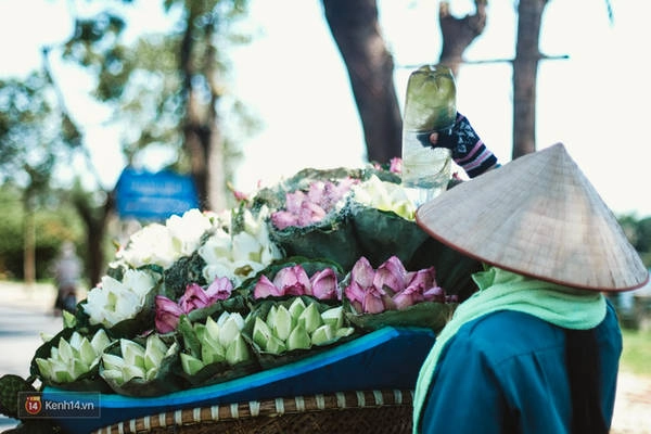 chum-anh-4-thu-hoa-that-dep-cua-thang-6-ha-noi-ivivu-3