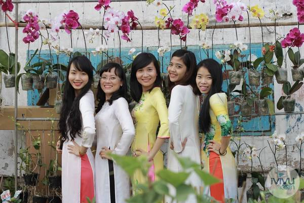 5 cô gái xinh đẹp đọ sắc cùng lan hồ điệp giữa phố. Ảnh: iVIVU.com 5 cô gái xinh đẹp đọ sắc cùng lan hồ điệp giữa phố.