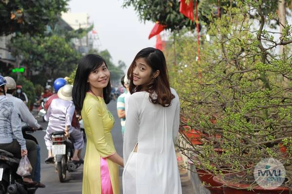 Rộn ràng đi giữa phố hoa. Ảnh: iVIVU.com Rộn ràng đi giữa phố hoa.