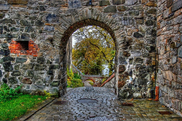 Bởi vì bạn sẽ nhìn thấy những nơi như thế này tại Oslo. 