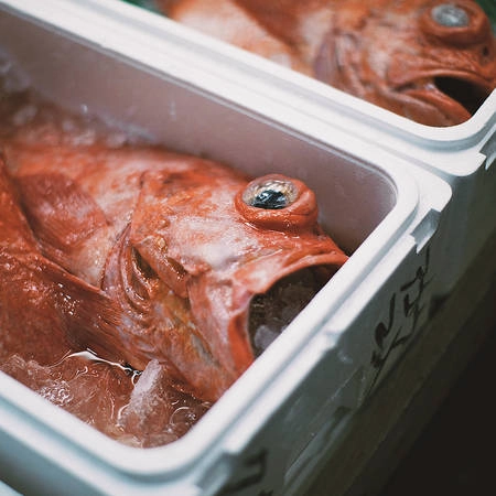 Chợ cá Tsukiji, Tokyo, Nhật Bản. Chợ cá Tsukiji, Tokyo, Nhật Bản. 