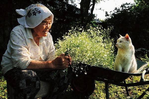 Mặc dù Fukumaru khá lầm lì...