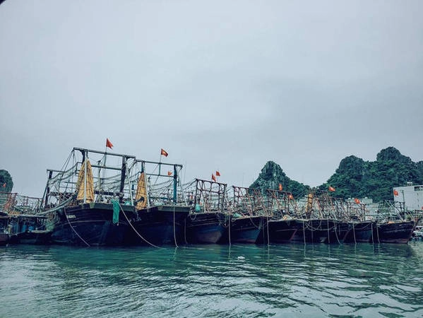 chuyen-di-co-to-5-sao-sieu-hot-cua-co-nang-9x-o-cho-dep-an-mon-ngon-va-chup-anh-cuc-ao-ivivu-2
