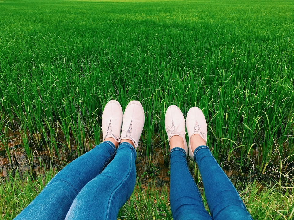 Và cái chúng tôi có được, hơn cả một chuyến du lịch, chính là bao kiến thức biết thêm dọc đường, là những trải nghiệm tuyệt vời mà nếu không nhanh chúng ta sẽ không còn đủ thời gian hay sức khỏe để khám phá. Hơn tất cả trong tôi là cảm giác hiểu hơn chính mình, mở rộng tầm mắt, là cảm giác được quay trở lại một thời thanh xuân Và cái chúng tôi có được, hơn cả một chuyến du lịch, chính là bao kiến thức biết thêm dọc đường, là những trải nghiệm tuyệt vời mà nếu không nhanh chúng ta sẽ không còn đủ thời gian hay sức khỏe để khám phá. Hơn tất cả trong tôi là cảm giác hiểu hơn chính mình, mở rộng tầm mắt, là cảm giác được quay trở lại một thời thanh xuân