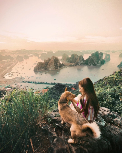 Tiếp tục hành trình, Sarah Trần và bạn trai bắt xe khách tới Hạ Long. "Chúng tôi đến Hạ Long lúc 4h sáng, sau chuyến xe dài qua những con đường núi uốn lượn từ Sapa. Tôi say xe suốt dọc quãng đường và chỉ muốn gục ngã khi tới nơi. Nhưng thay vì check in, chúng tôi đã leo lên ngọn núi này để ngắm mặt trời mọc. Tuy cảnh vật rất đẹp nhưng tôi không thể rời mắt khỏi chú chó xinh xắn này", nữ blogger chia sẻ. Đây là núi Bài Thơ, một địa danh check in nổi tiếng ở Hạ Long. Tiếp tục hành trình, Sarah Trần và bạn trai bắt xe khách tới Hạ Long. "Chúng tôi đến Hạ Long lúc 4h sáng, sau chuyến xe dài qua những con đường núi uốn lượn từ Sapa. Tôi say xe suốt dọc quãng đường và chỉ muốn gục ngã khi tới nơi. Nhưng thay vì check in, chúng tôi đã leo lên ngọn núi này để ngắm mặt trời mọc. Tuy cảnh vật rất đẹp nhưng tôi không thể rời mắt khỏi chú chó xinh xắn này", nữ blogger chia sẻ. Đây là núi Bài Thơ, một địa danh check in nổi tiếng ở Hạ Long.