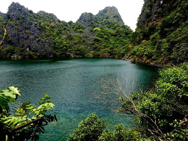 Vượt qua con đèo nhỏ um tùm cây lá là một thế giới khác. Bên trong đảo cũng không có đất, mà là một hồ nước tròn như miệng một chiếc giếng khổng lồ, đường kính chừng hơn 100 m. Đây đúng là một cái giếng khổng lồ, có thành đá cao vút dựng xung quanh. Sát mặt nước là những tán cây lòa xòa xanh mướt chìa ra từ vách đá. Một cảnh tượng vô cùng kỳ vĩ, và bí hiểm bởi màu nước xanh kỳ lạ. Nước mặn, dù không có màu như nước biển, và nhạt hơn, chắc thông với đại dươVượt qua con đèo nhỏ um tùm cây lá là một thế giới khác. Bên trong đảo cũng không có đất, mà là một hồ nước tròn như miệng một chiếc giếng khổng lồ, đường kính chừng hơn 100 m. Đây đúng là một cái giếng khổng lồ, có thành đá cao vút dựng xung quanh. Sát mặt nước là những tán cây lòa xòa xanh mướt chìa ra từ vách đá. Một cảnh tượng vô cùng kỳ vĩ, và bí hiểm bởi màu nước xanh kỳ lạ. Nước mặn, dù không có màu như nước biển, và nhạt hơn, chắc thông với đại dương bởi hang ngầm. Mép giếng có những loài rong kỳ lạ, không thường thấy ở biển cũng như ở những vùng đầm lầy nước ngọt.ng bởi hang ngầm. Mép giếng có những loài rong kỳ lạ, không thường thấy ở biển cũng như ở những vùng đầm lầy nước ngọt.