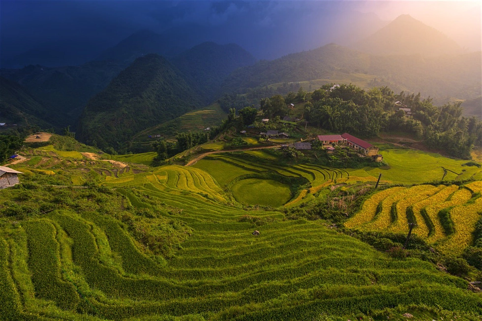 Thưởng trà ở Sapa: Không khí mát lành, ruộng bậc thang, thác nước và núi Fansipan... Sapa có đủ trải nghiệm thú vị dành cho du khách. Đây cũng là nơi có hàng trăm trang trại trồng chè, sản xuất chè xanh, đen, ô long... Bạn có thể ở tại các homestay để có thể tiếp cận với văn hóa địa phương một cách gần gũi, chân thực nhất.