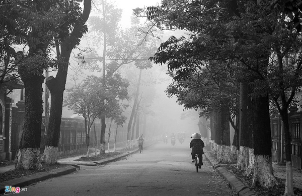 Những con đường phủ đầy sương trắng như những bức họa. Những con đường phủ đầy sương trắng như những bức họa.