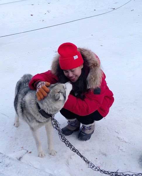 Bất ngờ lớn nhất lại đến từ những chú chó Husky Siberia - vốn được ví như “người vận chuyển” trên những đồng tuyết trắng mênh mông. Không ai nghĩ rằng những chú chó có thân hình nhỏ nhắn này lại có khả năng kéo xe phi thường: chúng có thể chạy liên tục với tốc độ tới 80km/h trong khoảng 3 tiếng. Giống chó này còn rất tình cảm, nếu được chăm sóc tốt, yêu thương thì chúng sẽ quấn quýt và chạy rất hăng hái. Đêm đến, chúng rúc vào trong tuyết ngủ ngoan ngoãn.