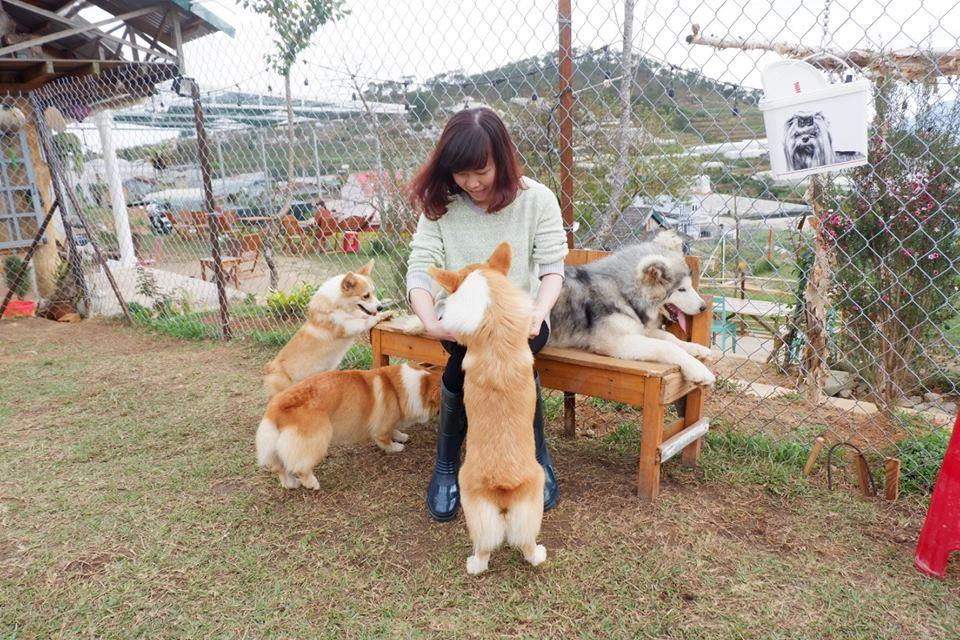 Ảnh:@tieu.ho.do Ảnh:@tieu.ho.do