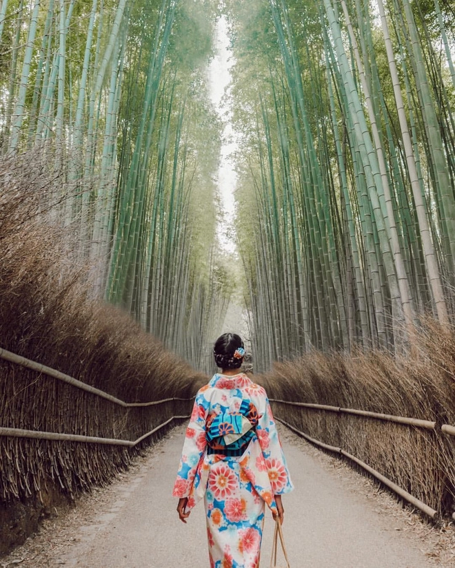 Ảnh: Pinterest, Flickr Ảnh: Pinterest, Flickr