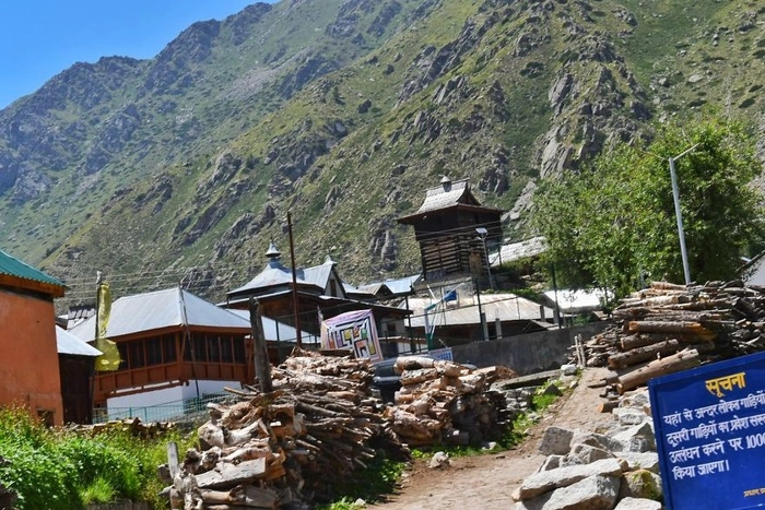 Rất nhiều gỗ được vận chuyển về làng Chitkul để xây dựng những ngôi nhà mới.