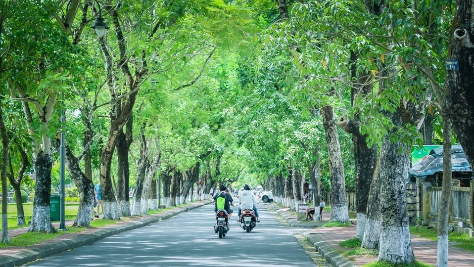 Thu sang trên những cung đường: Nếu bạn không có nhiều thời gian để di chuyển đến những vùng trời “duyên dáng” ngoại thành Huế, những con đường bình lặng trong lòng thành phố cũng giúp bạn có vài cuộc rong ruổi thú vị. Ảnh: Thu Thủy.