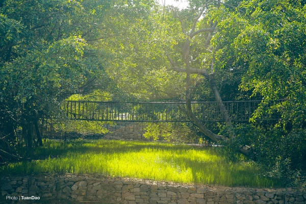 co-mot-buon-don-khac-rat-tinh-va-yen-binh-ivivu-4