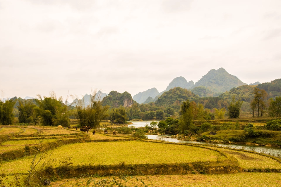 Buổi chụp con thác từ trên cao kết thúc cũng là lúc tôi hoàn thành chuyến hành trình ở Cao Bằng. Để lại những cánh rừng lá ngả màu, cái lạnh lẽo của mùa đông miền Bắc, tôi lại về với cơn mưa của miền Trung. Tôi hẹn gặp lại nơi này vào một mùa khác, có thể là mùa lúa vàng ươm nắng, những vạc rừng sim trổ hoa tím cả bầu trời và hơn hết là không còn cái lạnh cắt da, cắt thịt…