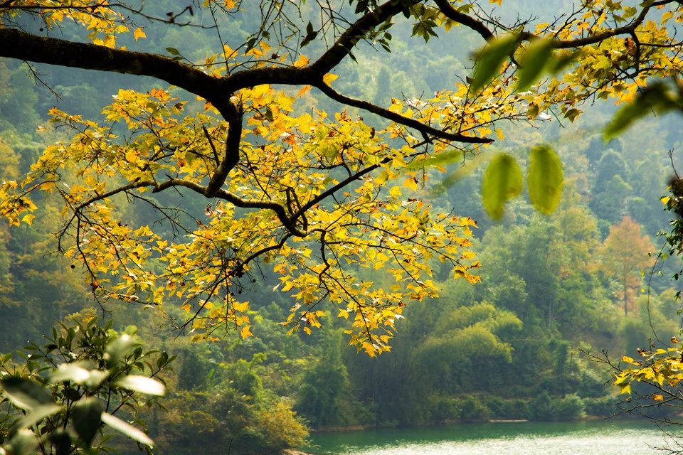 Những tán lá phong chuyển sang vàng rồi đỏ, hồ nước xanh trong như ngọc làm tôi như bị cuốn mắt vào khung cảnh đó. Rời khỏi hồ Bản Viết, tôi tiếp tục hành trình đến điểm thứ hai trong chuyến hành trình. 