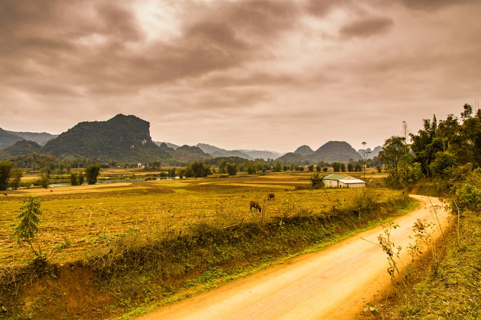 Trên những con đường tôi đi qua, cánh rừng phong ngả màu vàng, màu đỏ nối tiếp nhau. Dòng Quây Sơn xanh rì uốn lượn với hai bên bờ là những rặng tre, thửa ruộng đã gặt. Từng đàn ngựa, đàn trâu đang nhởn nhơ gặm cỏ dưới cánh đồng rộng lớn. Khung cảnh yên bình cứ níu chân người lữ khách không nỡ rời.