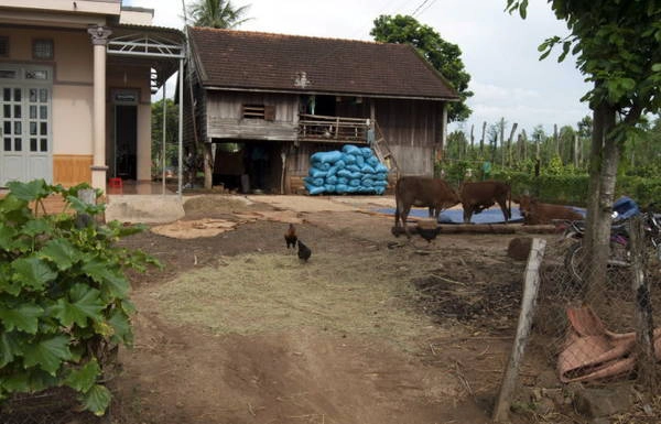 Một căn nhà người dân tộc có sân để phơi lương thực. Những bao xanh là lúa đã phơi khô chờ xay xát - Ảnh: Trung Oanh Một căn nhà người dân tộc có sân để phơi lương thực. Những bao xanh là lúa đã phơi khô chờ xay xát - Ảnh: Trung Oanh