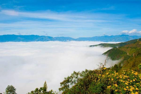 Mây bò dưới dã quỳ. Ảnh: Le Hong Ha