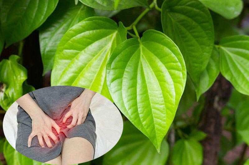 Cách trị nấm candida