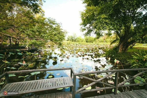Khi đã quá mệt mỏi, bạn có thể đi bộ ra ao sen gần đó để hít thở không khí dịu ngọt và thoang thoảng mùi hương sen cuối mùa. Khi đã quá mệt mỏi, bạn có thể đi bộ ra ao sen gần đó để hít thở không khí dịu ngọt và thoang thoảng mùi hương sen cuối mùa.