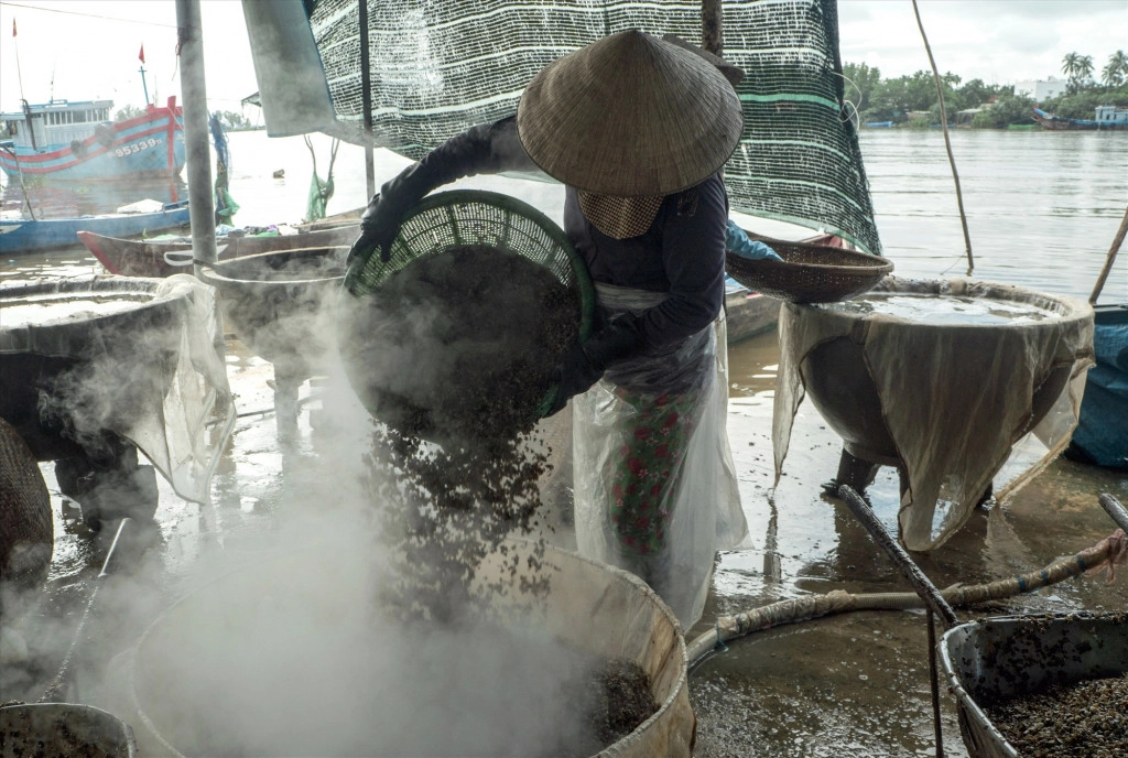 Đãi hến. Ảnh: Báo Quảng Nam.