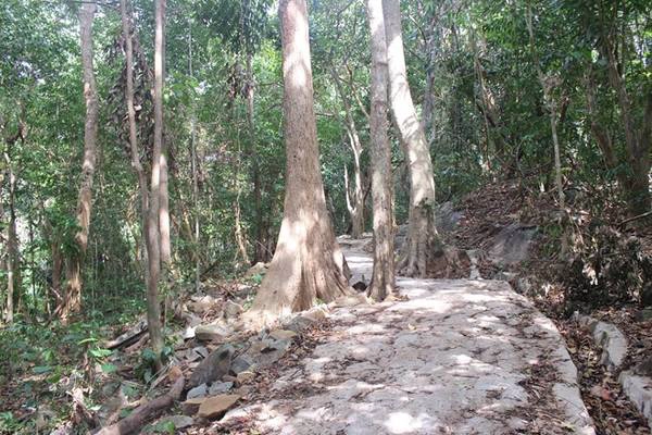 Bạn còn có thể khám phá rừng nguyên sinh ở khu bả o tồn, rồi tận hưởng cảm giác bình yên ở bãi Ông Đụng . Bạn còn có thể khám phá rừng nguyên sinh ở khu bả o tồn, rồi tận hưởng cảm giác bình yên ở bãi Ông Đụng .