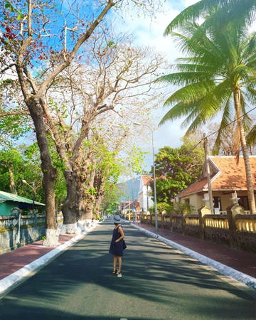 Một trong những nét đẹp đáng để trải nghiệm nhất của Côn Đảo là cung đường đèo ven biển uốn lượn quanh hòn Côn Lôn (Côn Đảo – đảo chính). Một trong những nét đẹp đáng để trải nghiệm nhất của Côn Đảo là cung đường đèo ven biển uốn lượn quanh hòn Côn Lôn (Côn Đảo – đảo chính).