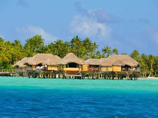 Raiatea nghĩa là “thiên đường xa xôi” nằm trong khu vực Polynesia thuộc Pháp. Nơi đây có các khu nghỉ dưỡng hạng sang, đồng thời cũng là một khu bảo tồn. Raiatea nghĩa là “thiên đường xa xôi” nằm trong khu vực Polynesia thuộc Pháp. Nơi đây có các khu nghỉ dưỡng hạng sang, đồng thời cũng là một khu bảo tồn.