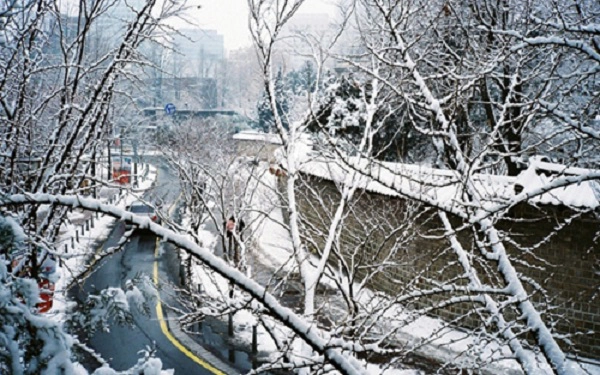Deoksugung Doldam-gil vào mùa đông. Nơi đây không có bãi đậu xe, gần bảo tàng Nghệ thuật Seoul, bảo tàng Lịch sử... Ảnh: Walkstoremember. Deoksugung Doldam-gil vào mùa đông. Nơi đây không có bãi đậu xe, gần bảo tàng Nghệ thuật Seoul, bảo tàng Lịch sử... Ảnh: Walkstoremember.