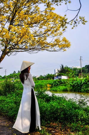Không ít thiếu nữ cất công mang theo váy, áo dài, nón lá, xe đạp để chụp ảnh cùng hàng cây điệp. Con đường không ở gần khu đô thị nên không quá đông đúc, bạn có thể thỏa sức tạo dáng.