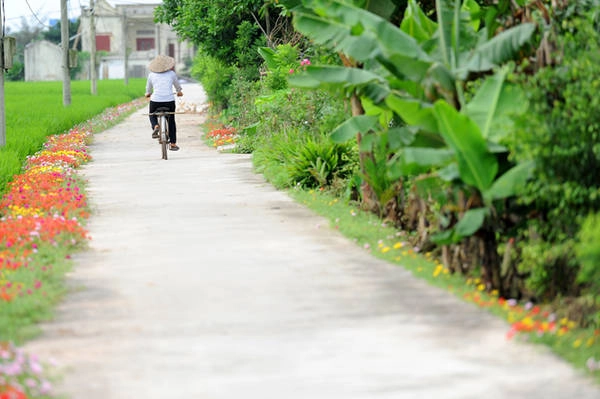 Chặng đường về nhà của những người dân cũng trở nên ngắn hơn khi luôn được ngắm nhìn vẻ đẹp của thiên nhiên, cây cỏ.