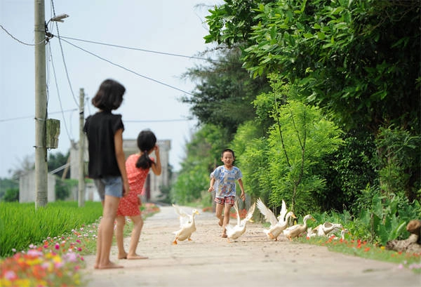 Sự chăm chút của người lớn đã giúp cho các em nhỏ có thể vui chơi trên những con đường sạch sẽ, lãng mạn sắc hoa.