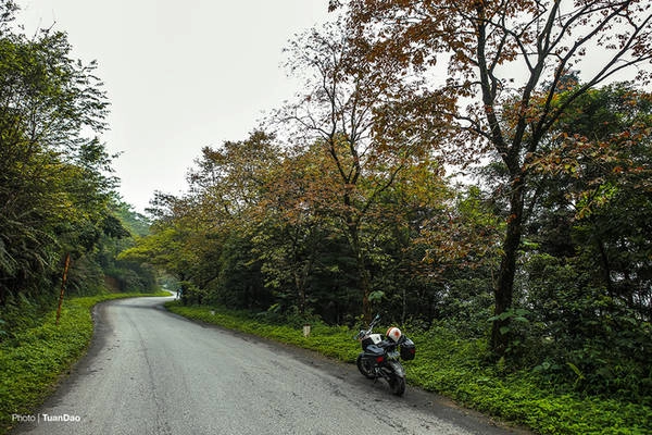Vườn quốc gia Ba Vì chỉ cách Hà Nội khoảng 60 km, có không khí trong lành, mát mẻ, luôn là một địa điểm thu hút rất đông du khách đến tham quan. Nơi đây là một quần thể rộng lớn nhiều địa danh hấp dẫn như đồi thông, nhà thờ cổ, vườn xương rồng…