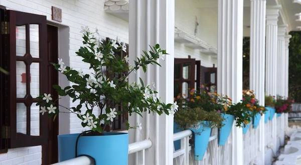 Ban công ngập tràn sắc hoa tại khách sạn.