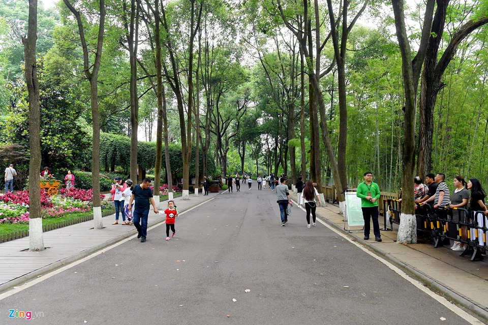 Được thành lập vào năm 1987, Cơ sở nghiên cứu và gây giống gấu trúc Thành Đô (Chengdu Research Base of Giant Panda Breeding) là nơi chăm sóc và bảo tồn phi lợi nhuận cho loài gấu trúc cùng nhiều loài động vật quý hiếm và đang có nguy cơ tuyệt chủng. Cơ sở nằm trên núi Futou, cách trung tâm thành phố Thành Đô khoảng 10 km. Được thành lập vào năm 1987, Cơ sở nghiên cứu và gây giống gấu trúc Thành Đô (Chengdu Research Base of Giant Panda Breeding) là nơi chăm sóc và bảo tồn phi lợi nhuận cho loài gấu trúc cùng nhiều loài động vật quý hiếm và đang có nguy cơ tuyệt chủng. Cơ sở nằm trên núi Futou, cách trung tâm thành phố Thành Đô khoảng 10 km.