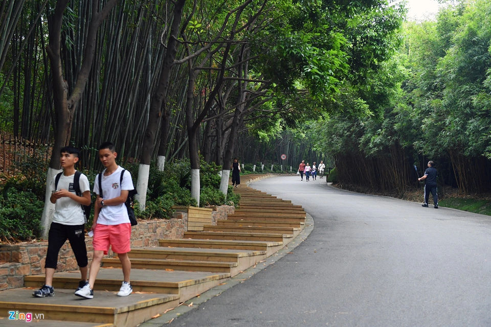 Tới đây tham quan, du khách còn được tận hưởng không khí trong lành với những rặng tre, trúc xanh mát và một không gian mát mẻ, thoáng đãng. Tới đây tham quan, du khách còn được tận hưởng không khí trong lành với những rặng tre, trúc xanh mát và một không gian mát mẻ, thoáng đãng.