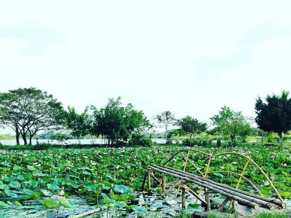 Ảnh: evinnguyenvn Ảnh: evinnguyenvn