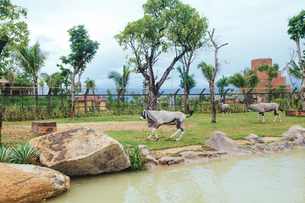 Mô hình River Safari - khu bảo tồn thiên nhiên hoang dã được khởi xướng tại Singapore. Trải nghiệm mô hình này, du khách sẽ được ngồi trên thuyền du ngoạn và khám phá thế giới động vật. Chi phí để phát triển River Safari tốn kém và khó vận hành hơn vườn thú thông thường vì vậy mô hình này không có nhiều trên thế giới. Mô hình River Safari - khu bảo tồn thiên nhiên hoang dã được khởi xướng tại Singapore. Trải nghiệm mô hình này, du khách sẽ được ngồi trên thuyền du ngoạn và khám phá thế giới động vật. Chi phí để phát triển River Safari tốn kém và khó vận hành hơn vườn thú thông thường vì vậy mô hình này không có nhiều trên thế giới.