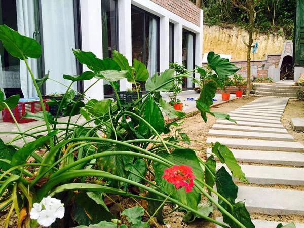 Ảnh: Coto Eco Lodge Ảnh: Coto Eco Lodge